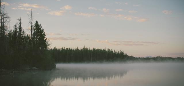 Lake and Forest